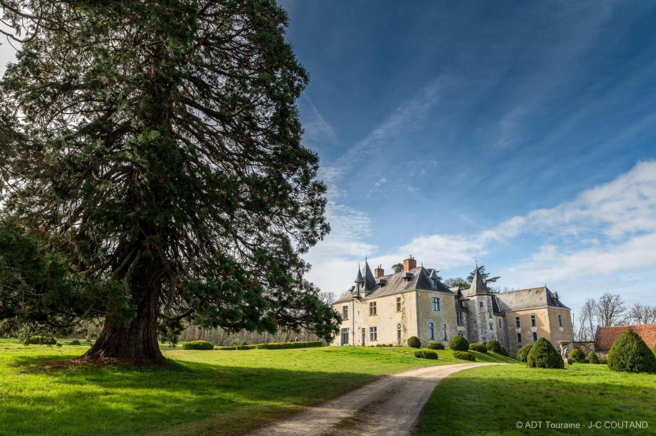 Chateau De Valesne Saché Екстериор снимка